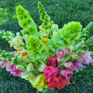 Gorgeous Bouquet of Krayton's Garden Flowers